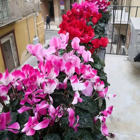 Bed & Breakfast Palazzo Gioffre *